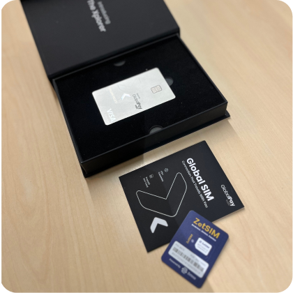 Travel and roaming data