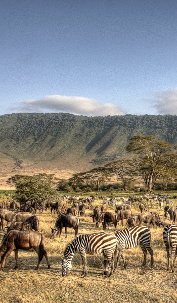 Tanzania